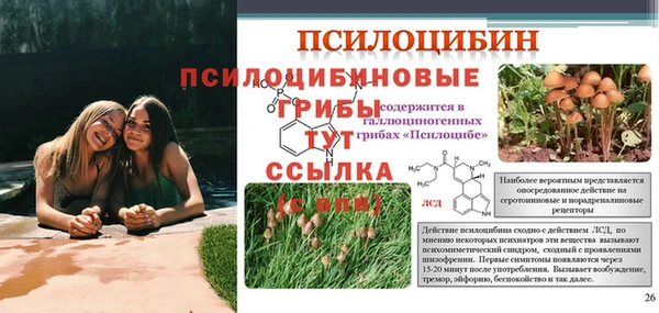 мяу мяу мука Вязьма