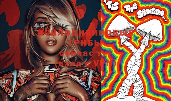 мяу мяу мука Вязьма