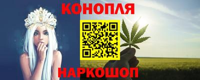 прущие грибы Канаш
