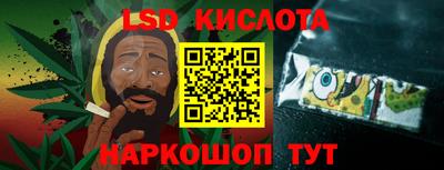 2c-b Камышлов