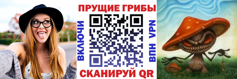 kraken   Мценск  Галлюциногенные грибы MAGIC MUSHROOMS 